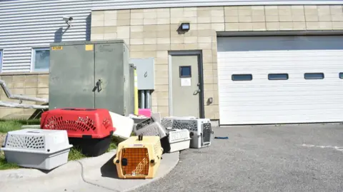 FBI's Incineration of Seized Meth at Animal Shelter Causes Health Crisis