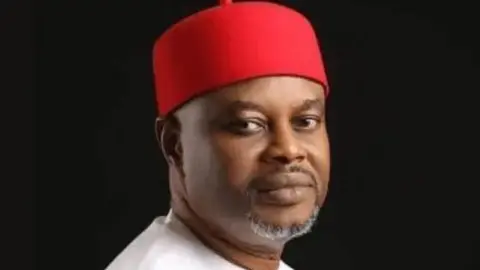 Uche Nnaji Resigns as Nigeria's Minister Amid Forgery Allegations