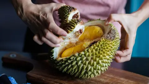The Durian Dynasty: How China’s Craving for the 'Hermès of Fruits' Shapes Southeastern Asia