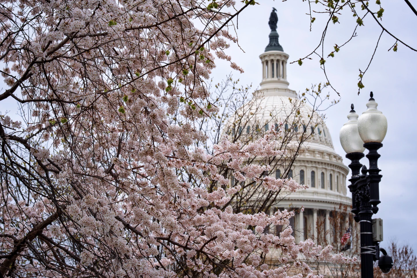 Senate Republicans Seek to End Longest Partial Government Shutdown by Funding ICE and Border Patrol