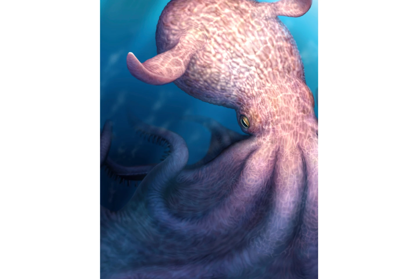 Ancient Octopuses: The Top Predators of Dinosaur Era Seas