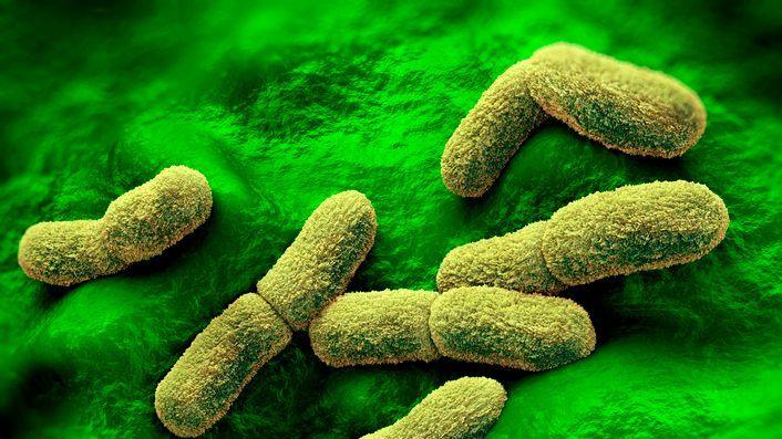 US Keeps Watch as Russian Plague Lab Technician Dies Amid Safety Concerns