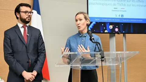 French Commission Proposes Social Media Ban for Under-15s Amid TikTok Concerns