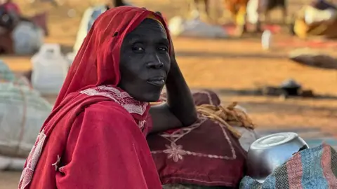 Sudan's Current Crisis Mirrors Past Horrors: Reports of Systematic Killings Emerge in El-Fasher