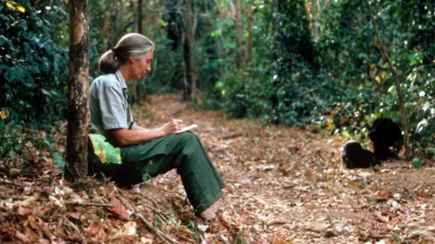 Dame Jane Goodall: A Legacy of Conservation