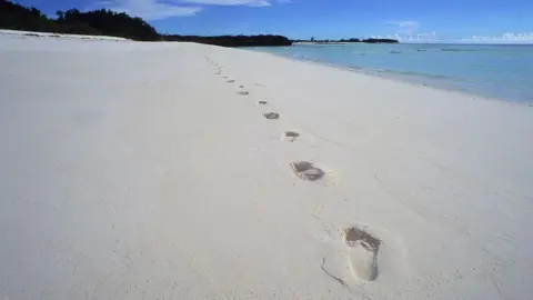 The Impact of Assumption Island on Seychelles' Election Dynamics