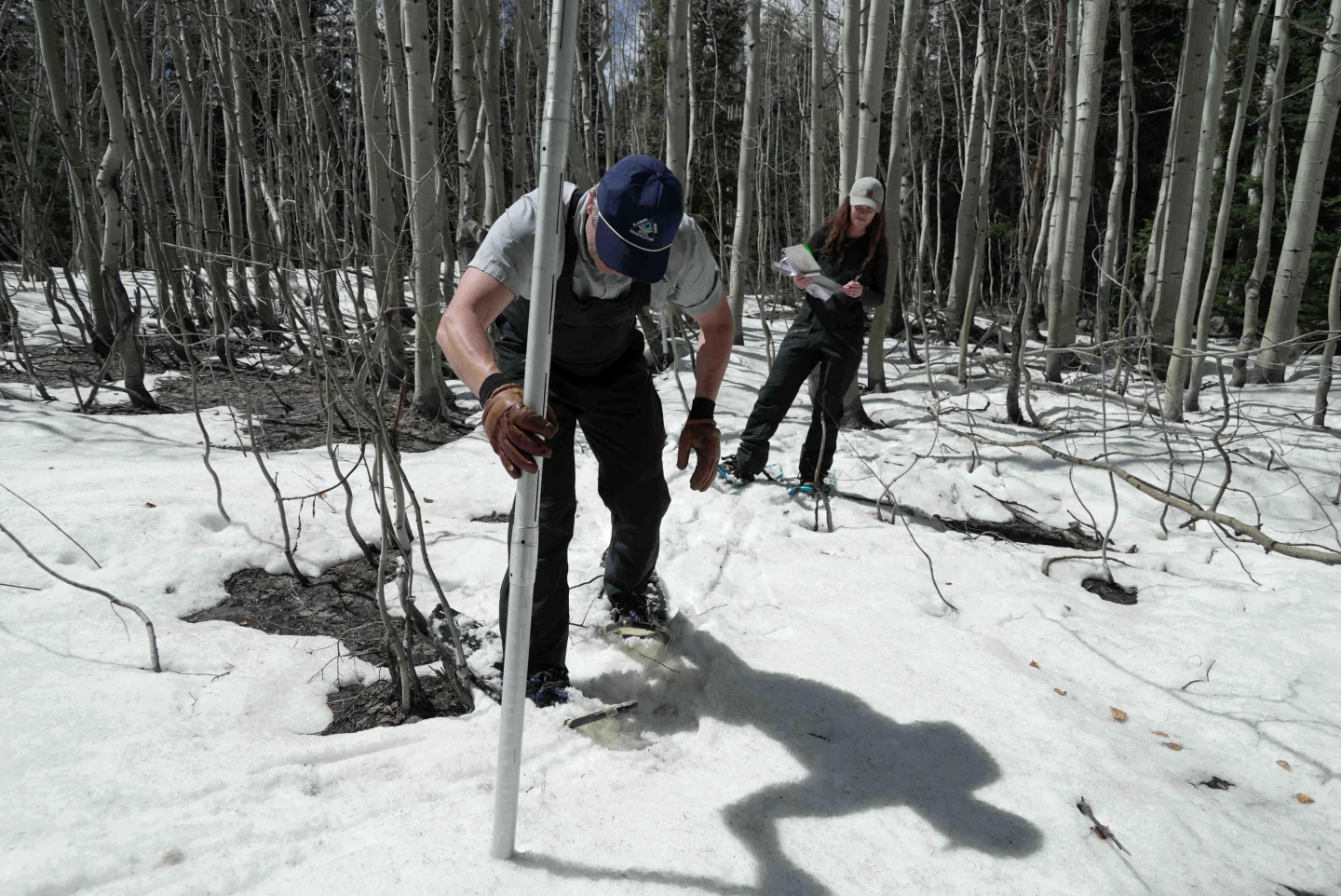 Colorado Faces Record Low Snowpack and Drought Challenges