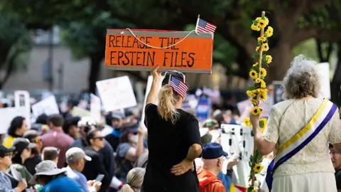 Investigation Into Epstein Files Release Launched by US Government Watchdog