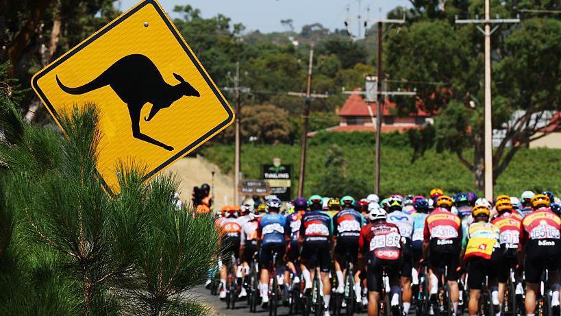 Kangaroo Collision Can't Stop Jay Vine from Securing Tour Down Under Victory
