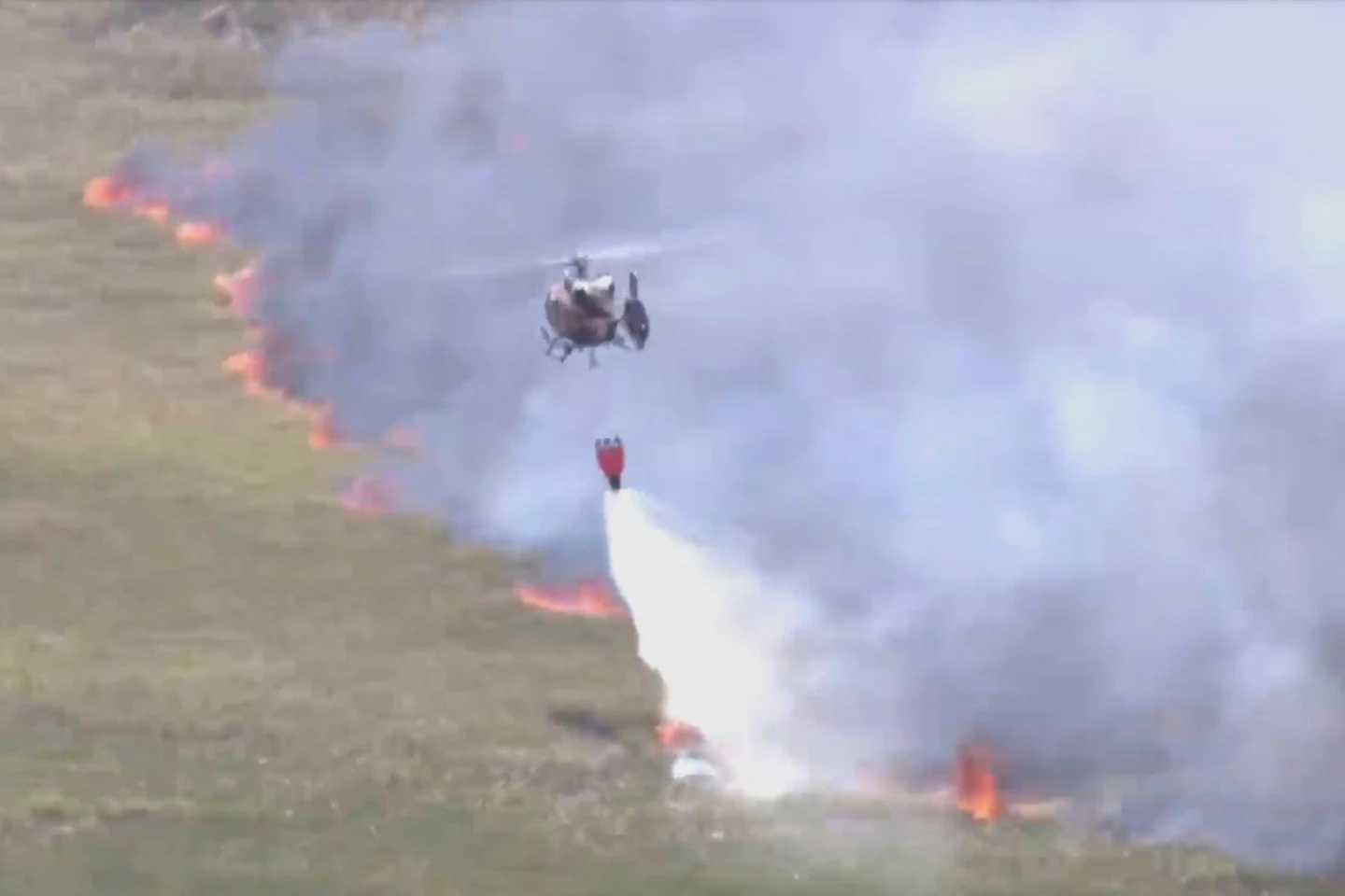 Southeastern U.S. Wildfires Intensify, Prompting Evacuations and Destruction