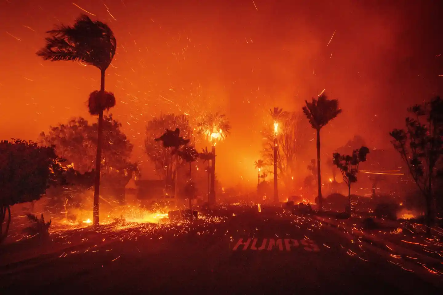 Reflecting on the Los Angeles Wildfires: A Year Later